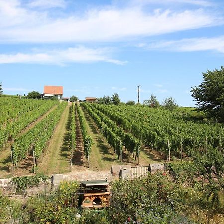 Hôtel La belle alsacienne - Route des vins d'Alsace à Hattstatt Extérieur photo