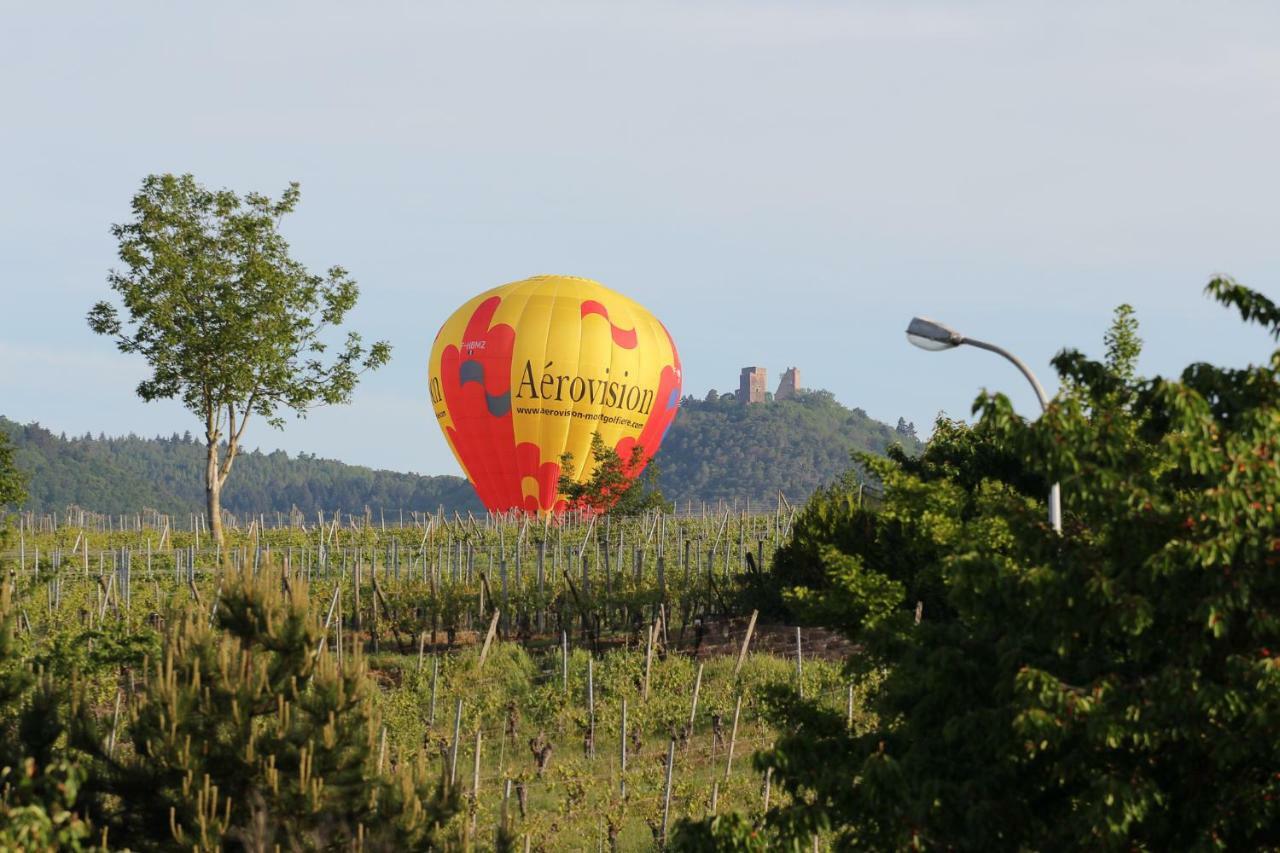 Hôtel La belle alsacienne - Route des vins d'Alsace à Hattstatt Chambre photo