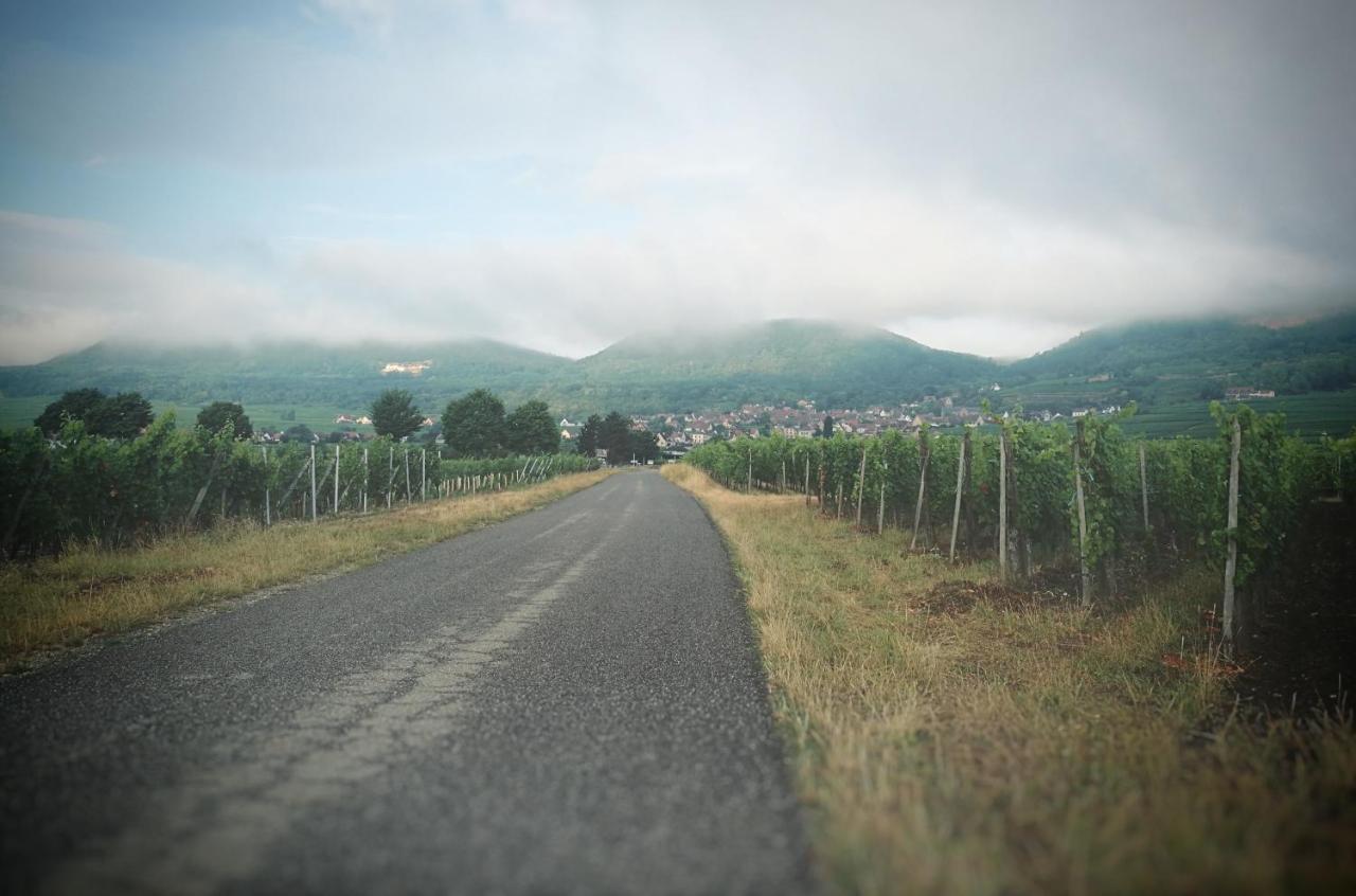 Hôtel La belle alsacienne - Route des vins d'Alsace à Hattstatt Extérieur photo